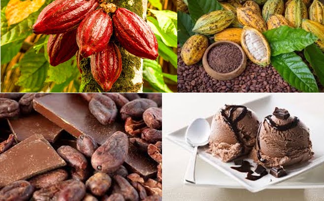 Scopri di più sull'articolo Il cacao come nutriente funzionale: un viaggio fra storia, scienza e piacere