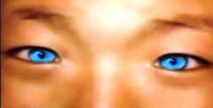 Scopri di più sull'articolo Il bambino gatto: il mistero della visione notturna e della leucodermia