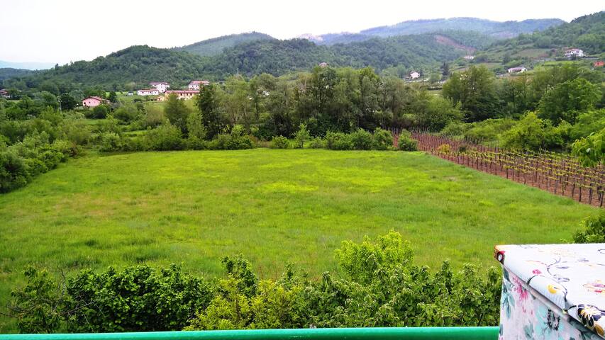 Al momento stai visualizzando Vivere nella quiete a contatto con la natura: i benefici di un periodo di decompressione in un’oasi immersa nel verde